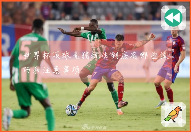 世界杯滚球竞猜玩法到底有哪些技巧和注意事项