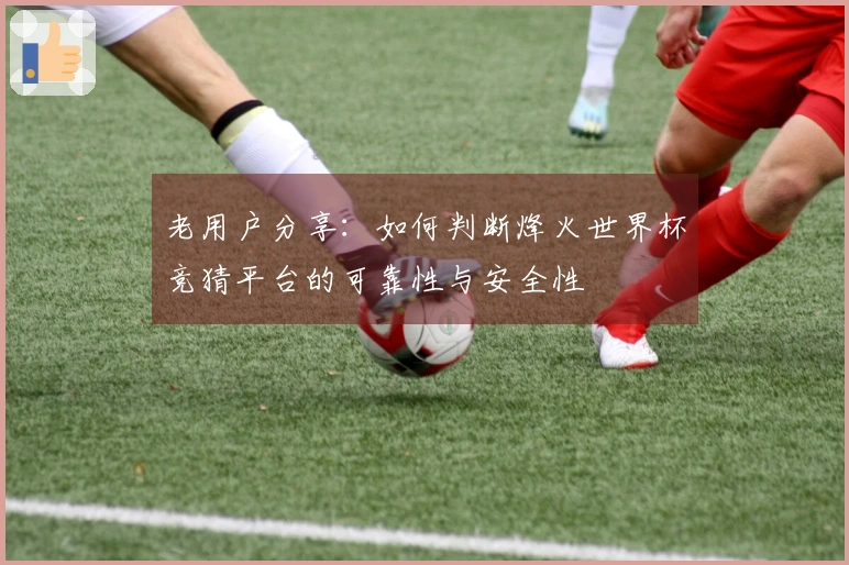 老用户分享：如何判断烽火世界杯竞猜平台的可靠性与安全性