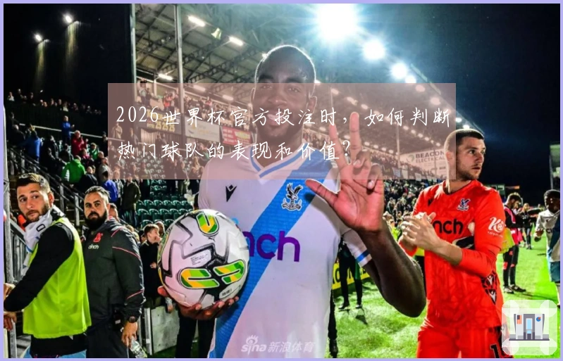 2026世界杯官方投注时，如何判断热门球队的表现和价值？