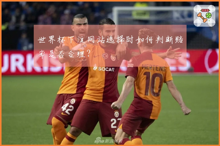 世界杯下注网站选择时如何判断赔率是否合理？