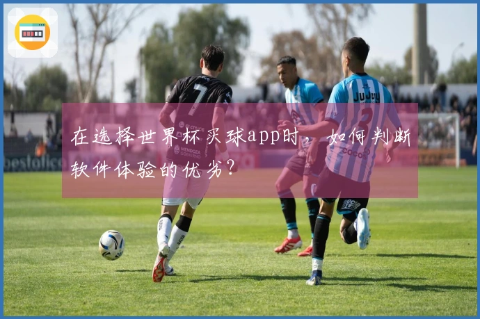 在选择世界杯买球app时，如何判断软件体验的优劣？