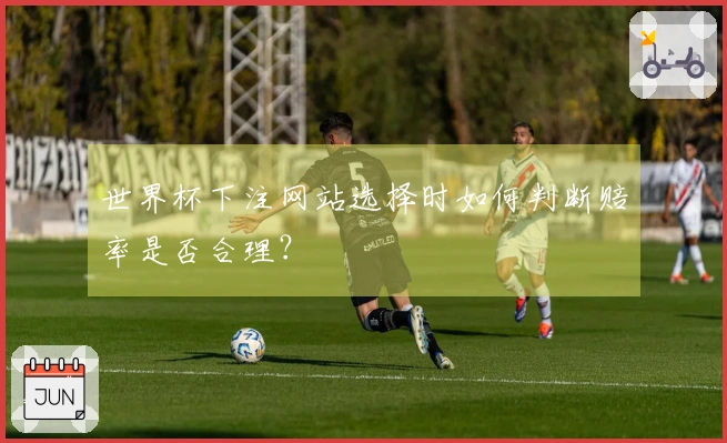 世界杯下注网站选择时如何判断赔率是否合理？